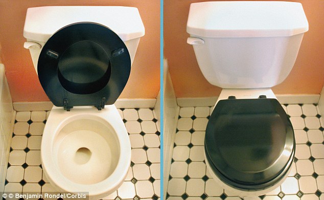 Toilet lid up or down? You can't go wrong with keeping the lid closed!